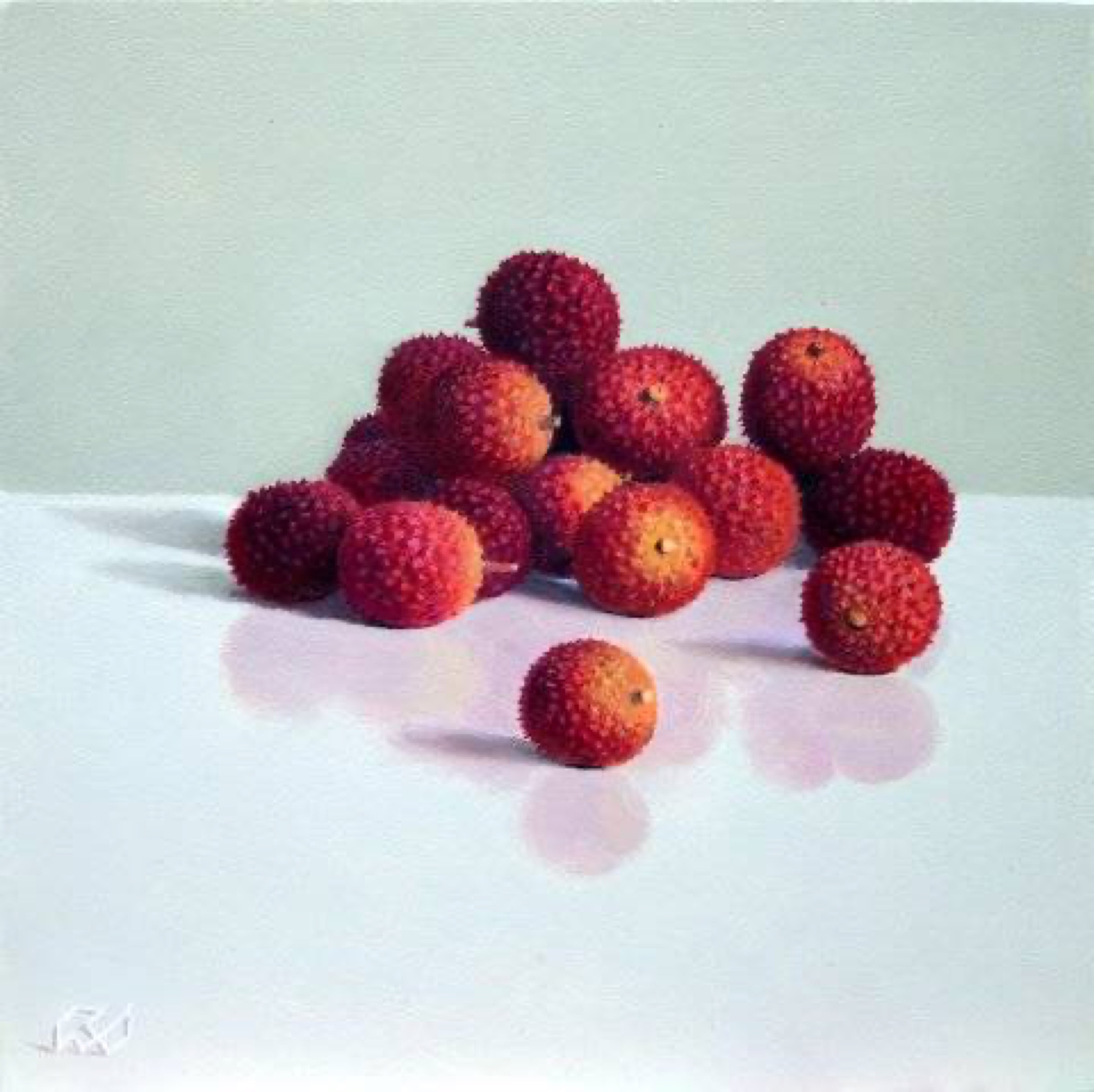 Klaas Wiedijk, Lychees — Miniatures, Oil on panel