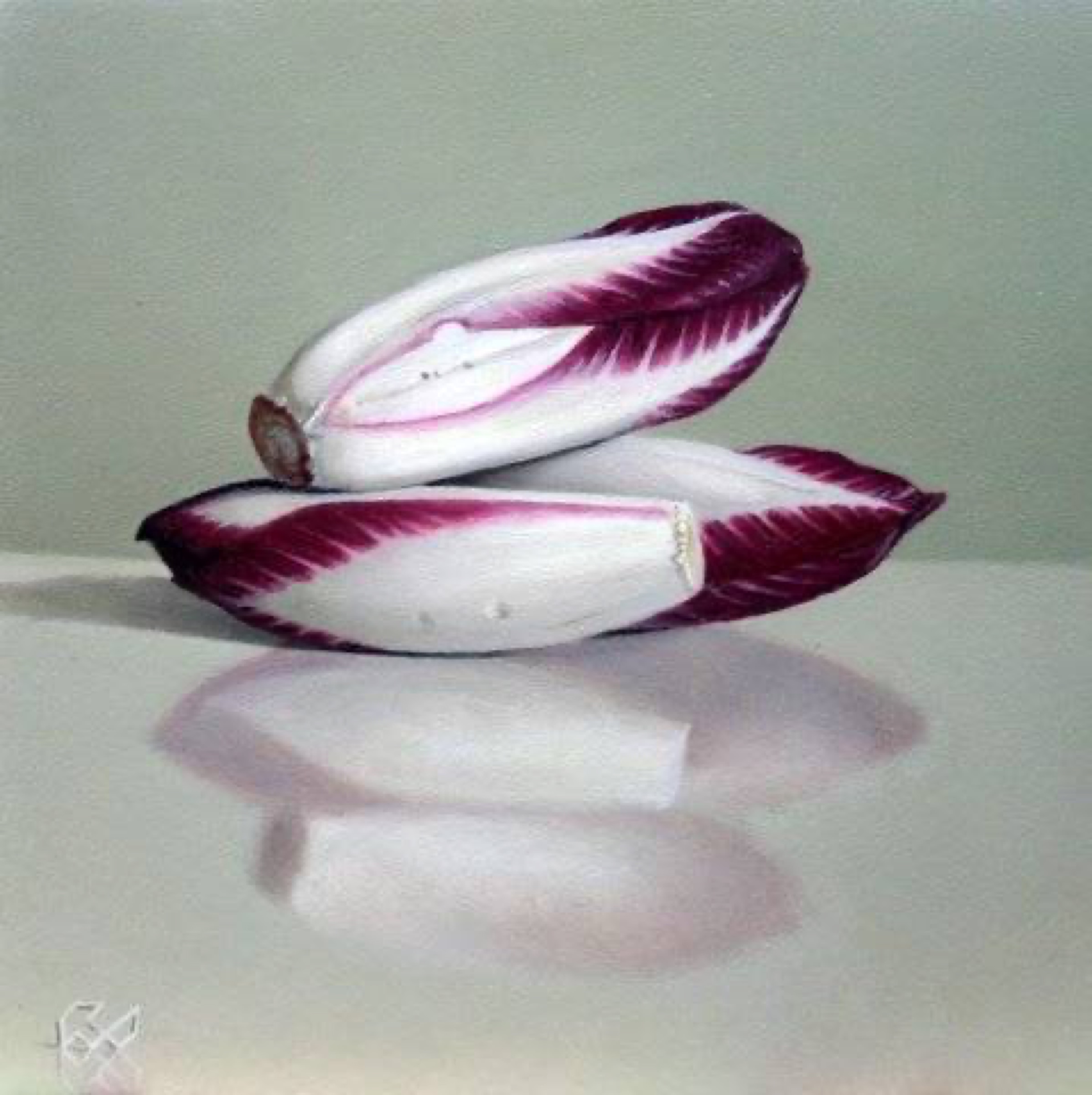 Klaas Wiedijk, Roodlof (Red Chicory) — Miniatures, Oil on panel