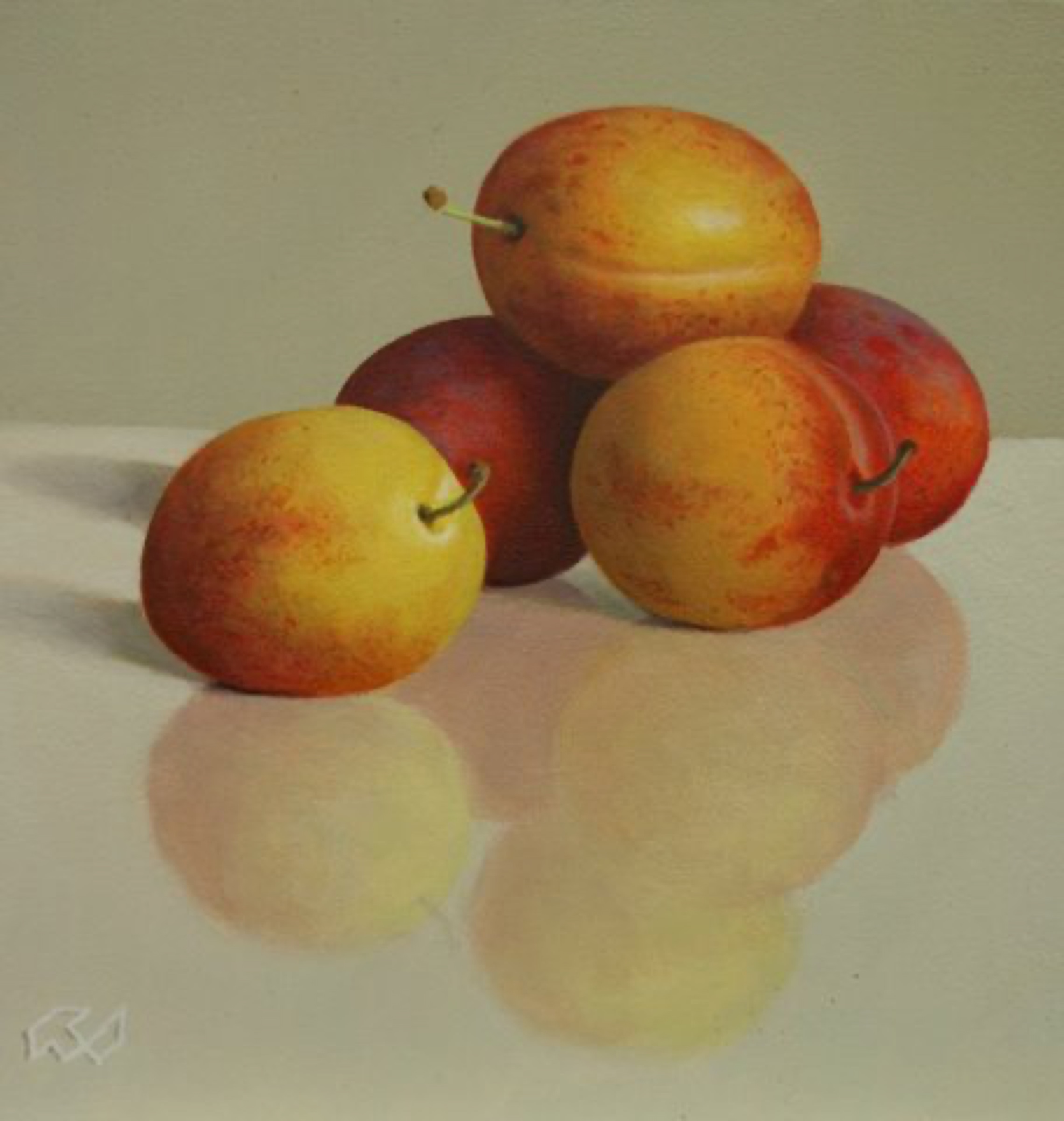 Klaas Wiedijk, Pruimen (Plums) — Miniatures, Oil on panel