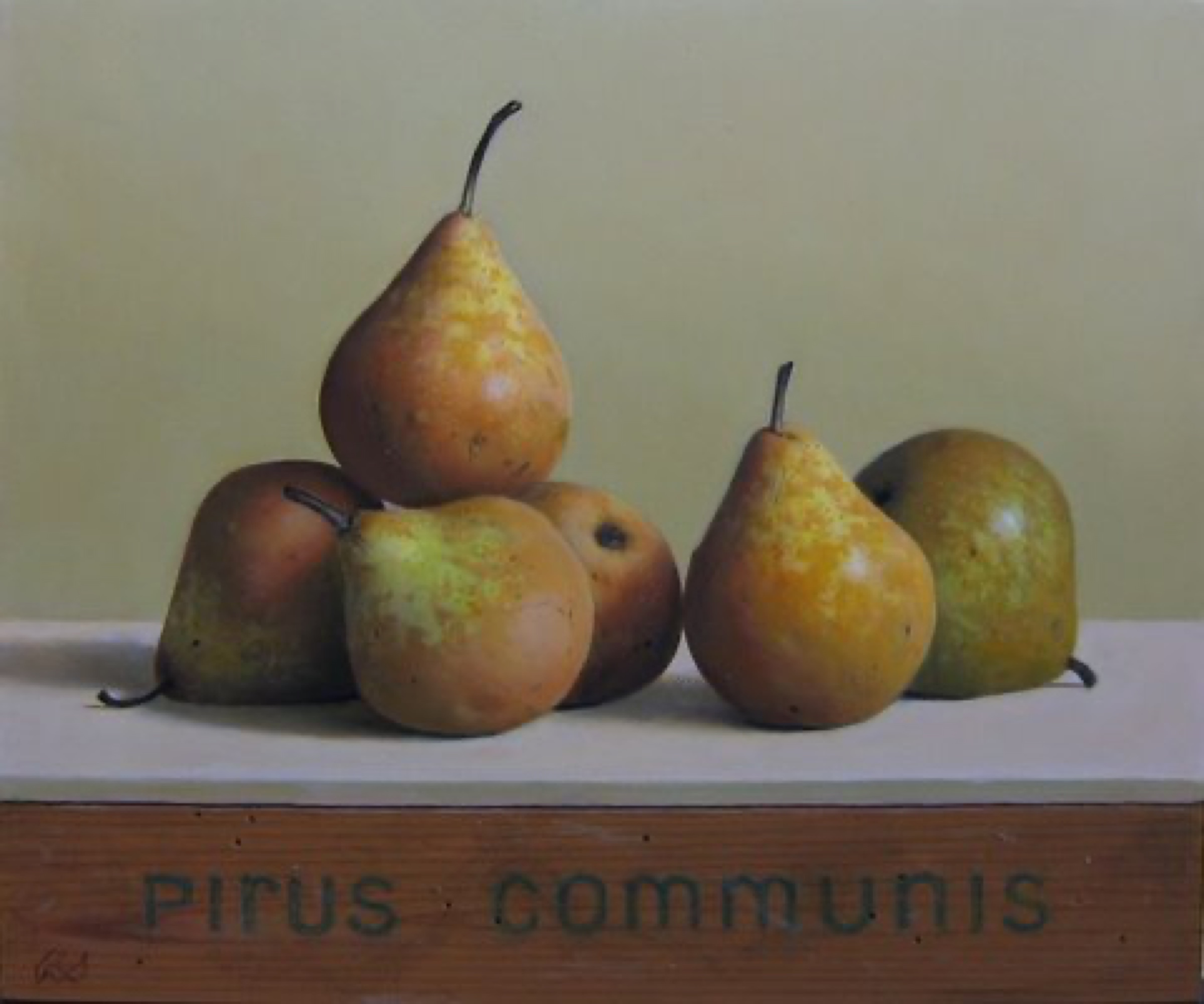 Klaas Wiedijk, Pirus communis — Still life, Oil on panel