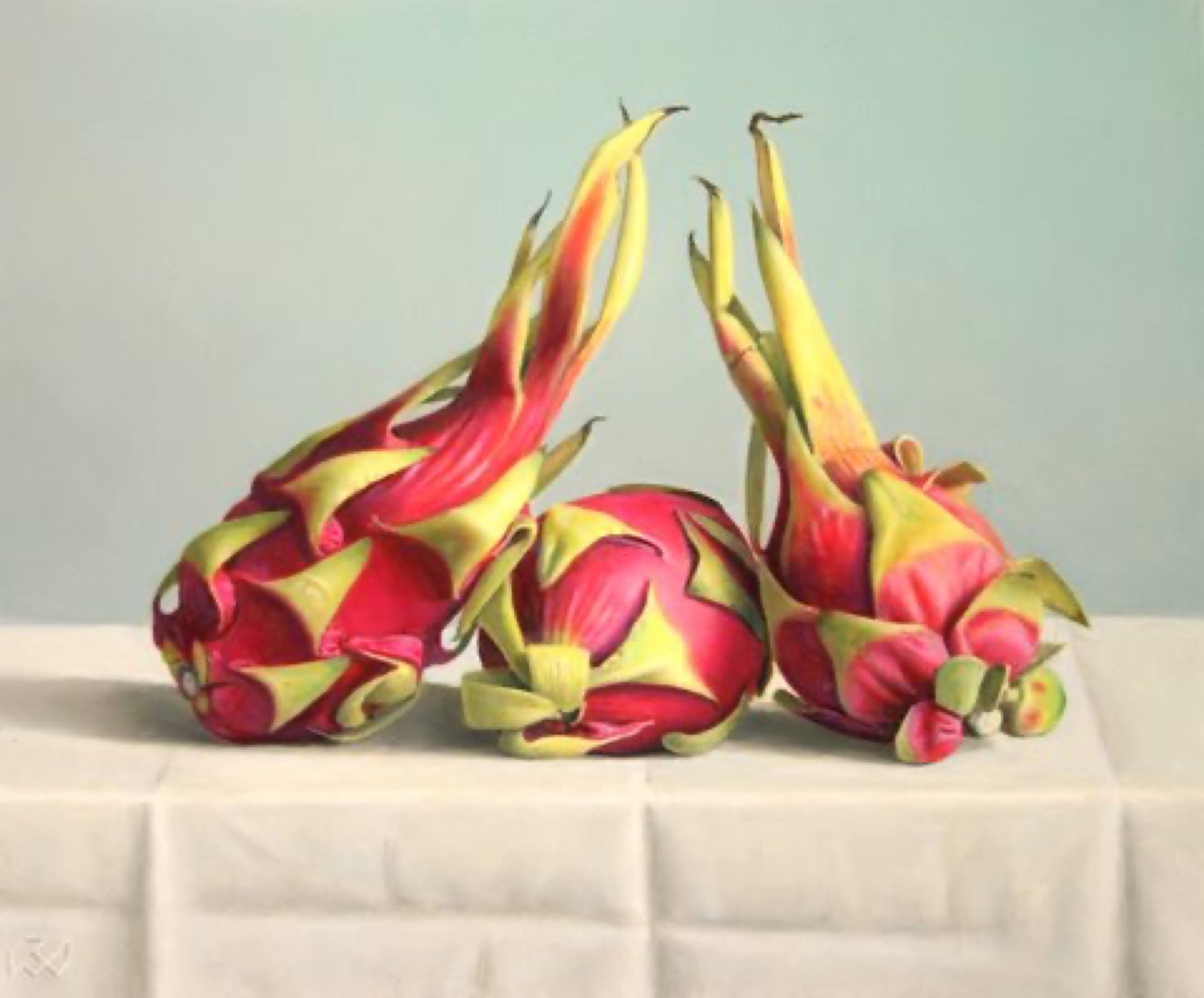 Klaas Wiedijk, Drakenfruit (Dragon Fruit) — Still life, Oil on panel