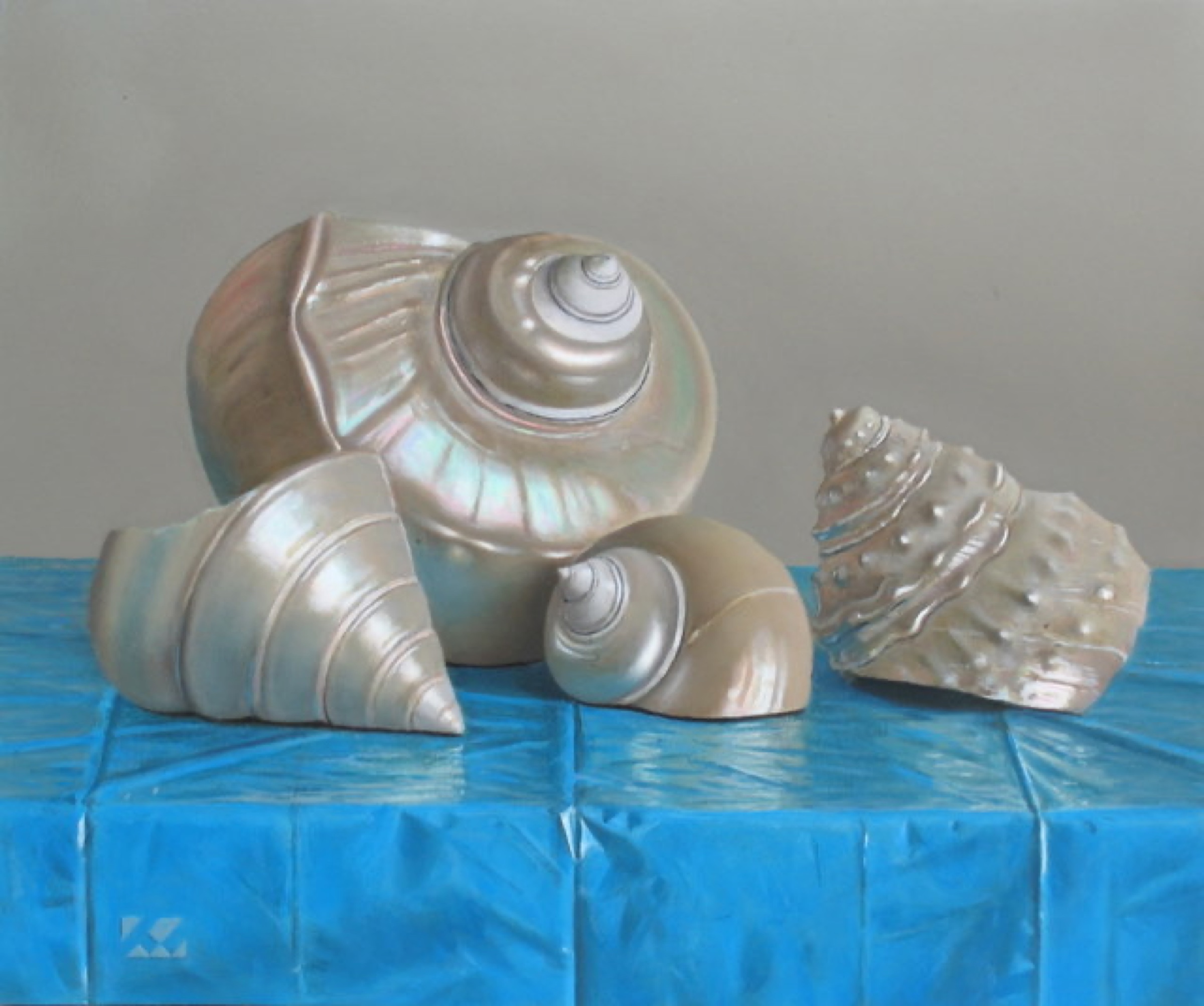 Klaas Wiedijk, Schelpen op blauw (Shells on Blue) — Still life, Oil on panel