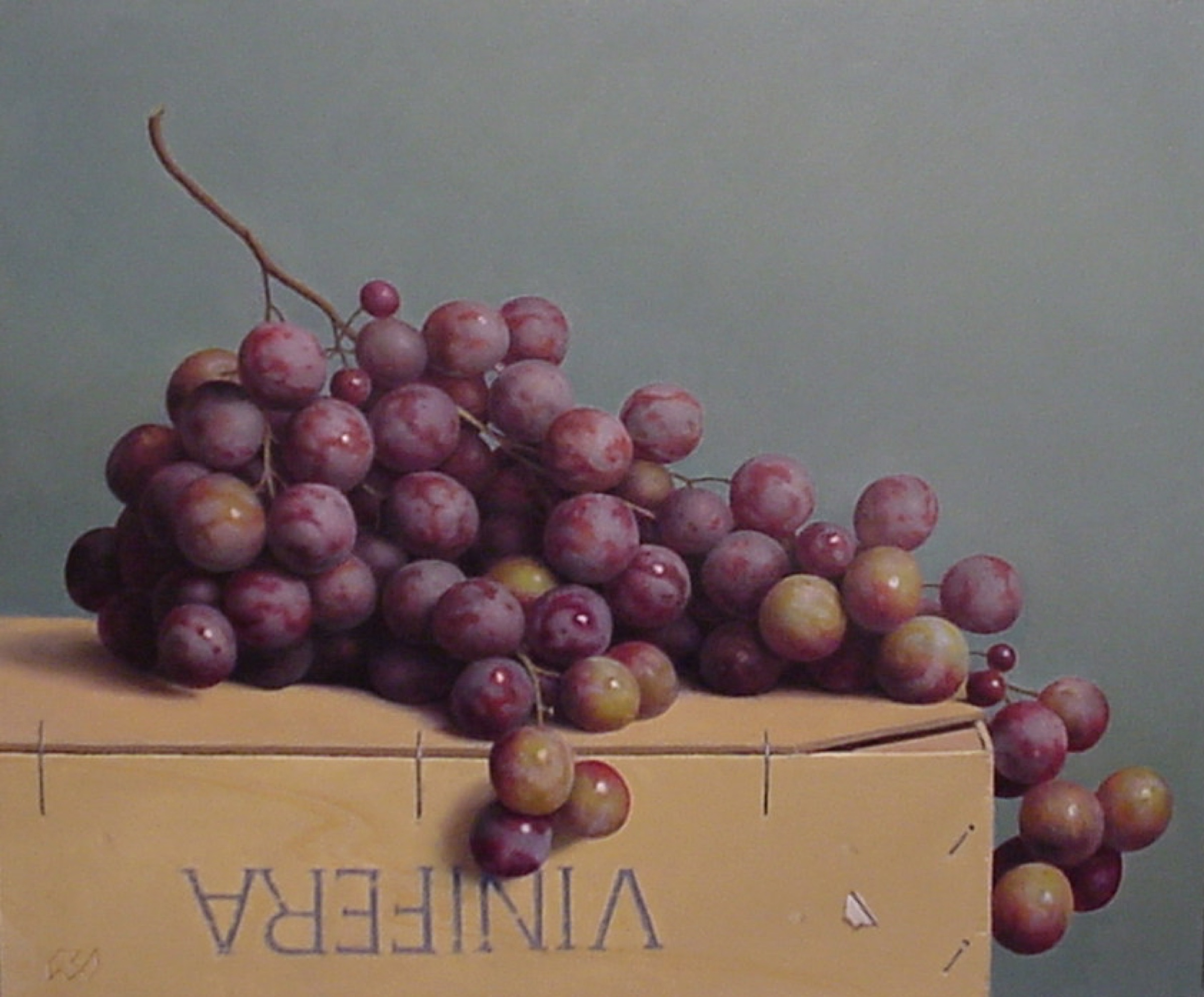 Klaas Wiedijk, Druiven (Grapes) — Still life, Oil on panel