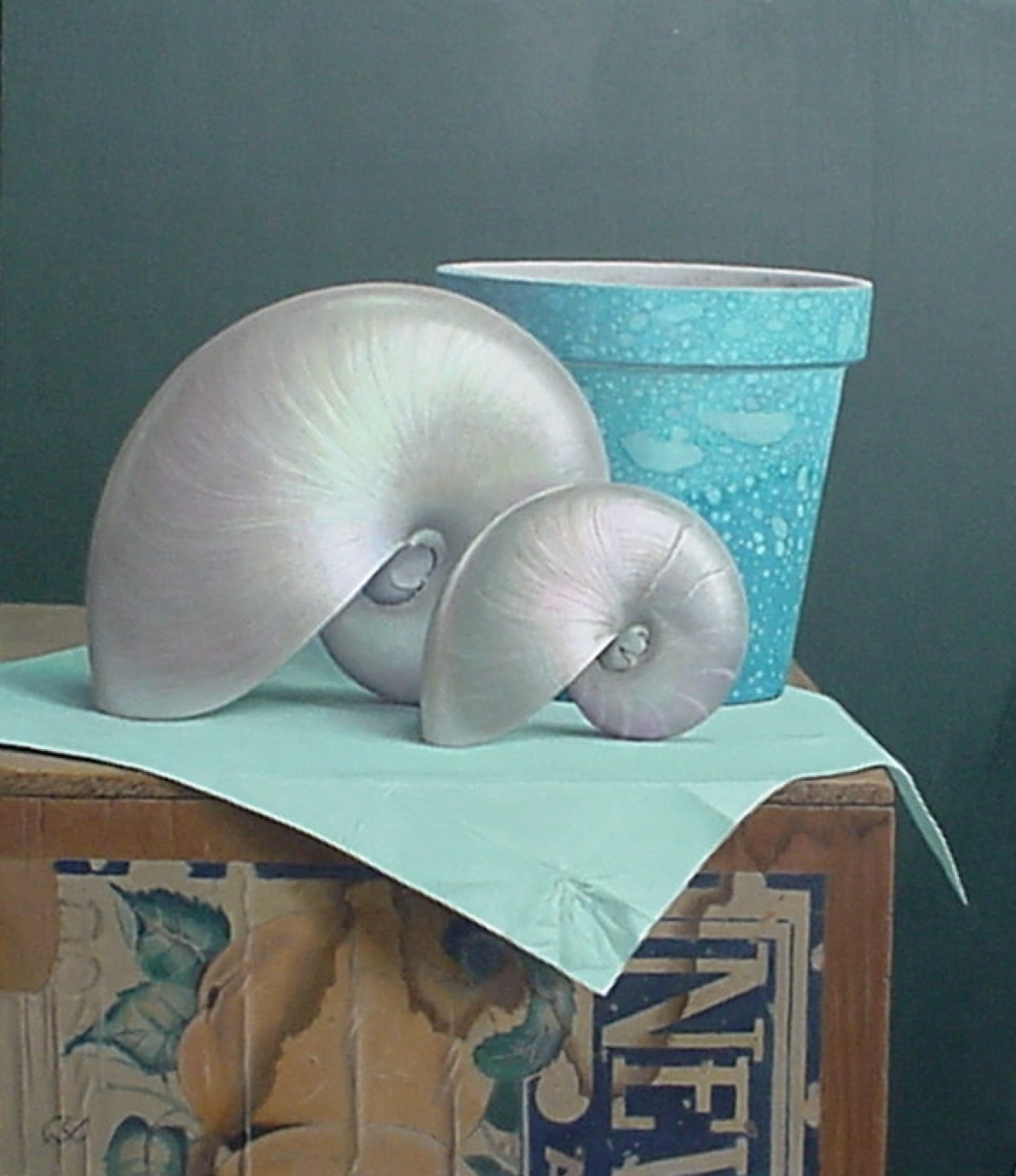 Klaas Wiedijk, Nautilusschelpen (Nautilus Shells) — Still life, Oil on panel