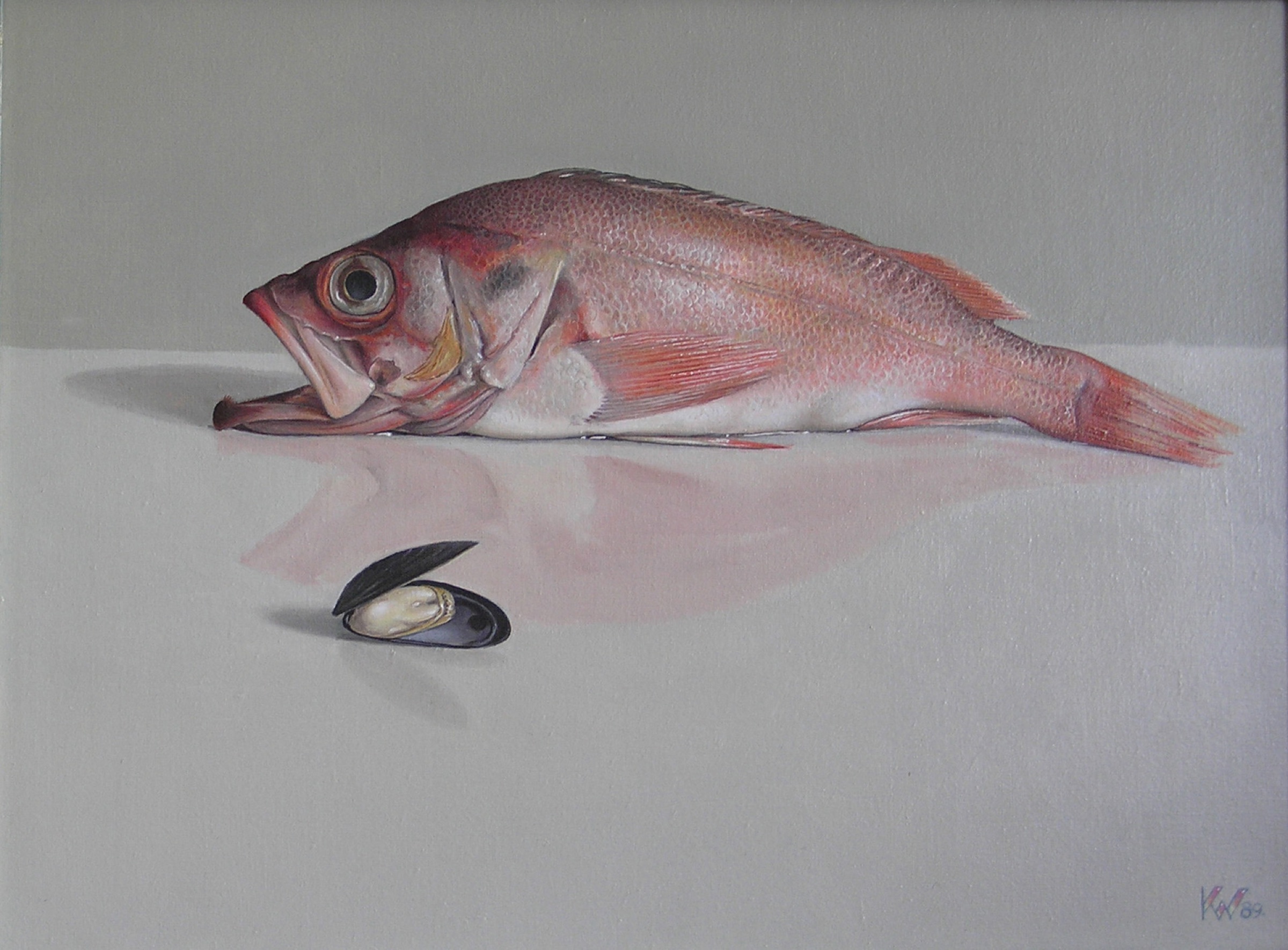 Klaas Wiedijk, Vis (Fish) — Still life, Oil on panel